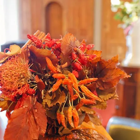 Remat 3* Γκάρντα